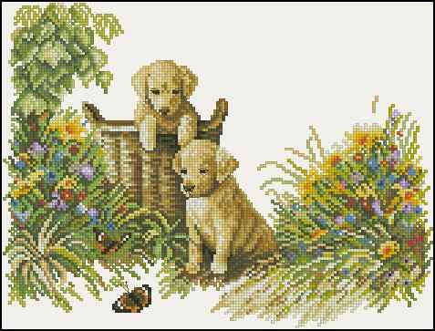 CMP 400590 Innocent Puppies