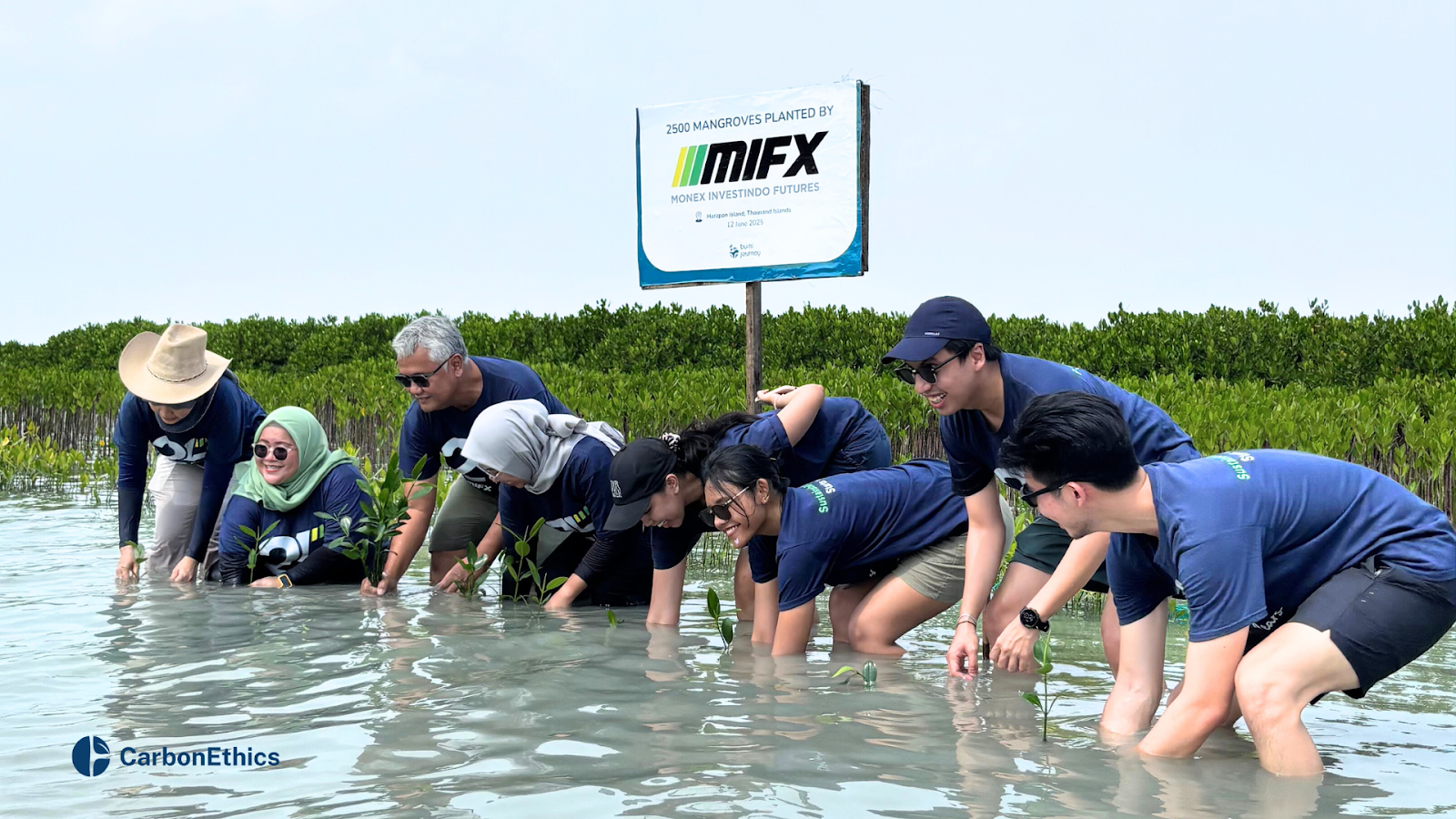 MIFX team planting mangrove seedlings in shallow water in front of a sign that reads “2500 Mangroves Planted by MIFX – Monex Investindo Futures,” as part of a collaboration with CarbonEthics.