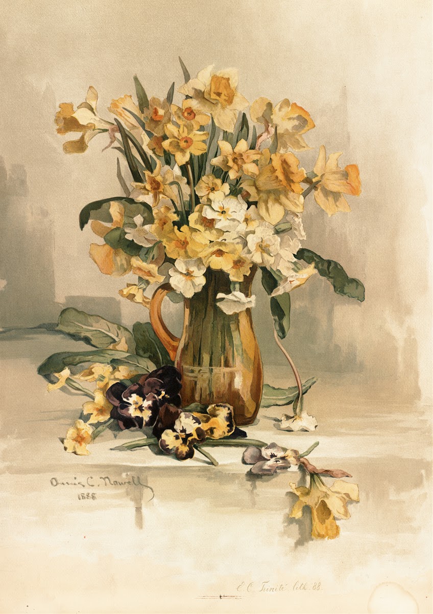 Jonquils ca 18611897