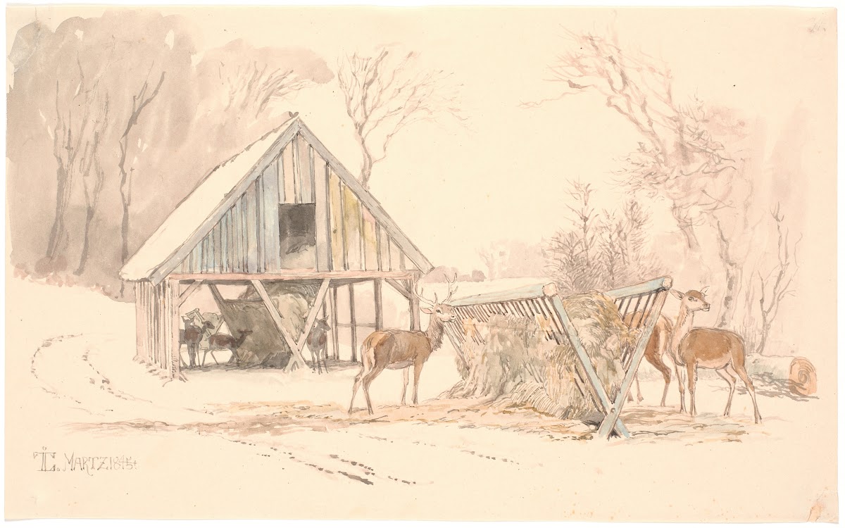 Foderhækkene til vildtet i Dyrehaven 1845