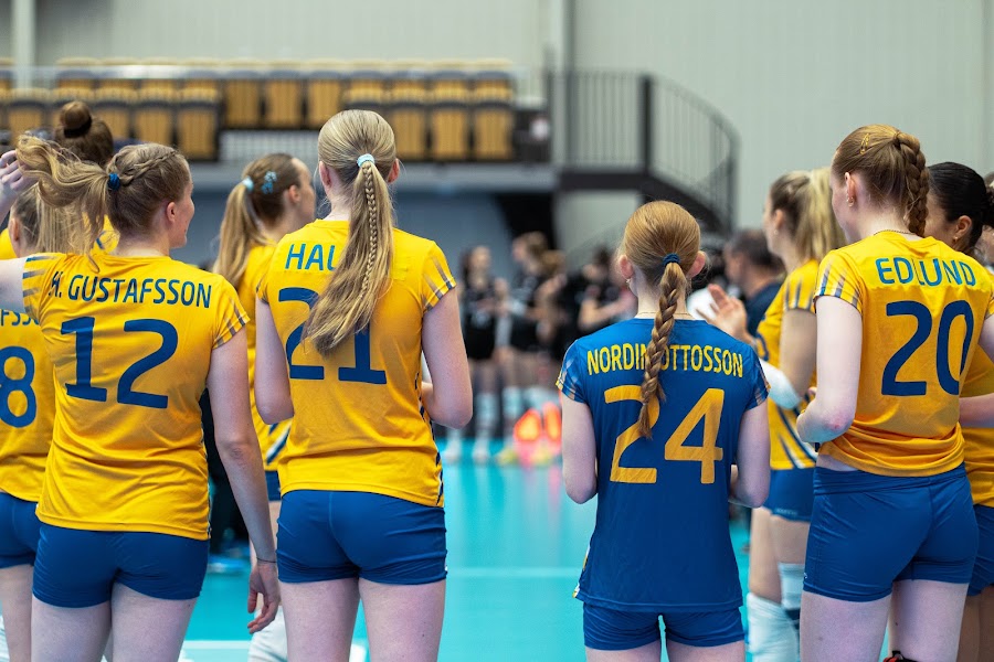 Sweden Hungary 84