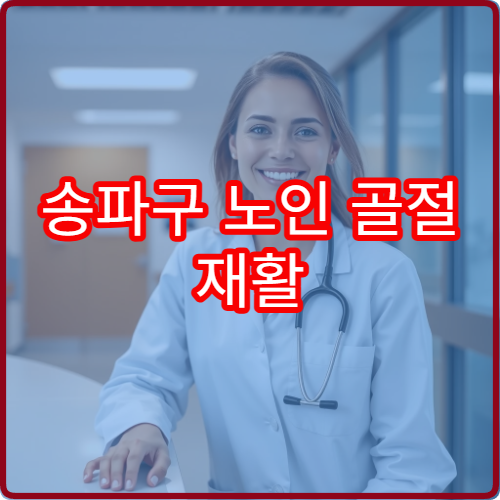송파구 노인 골절 재활 치료·골밀도 검사 가능한 병원