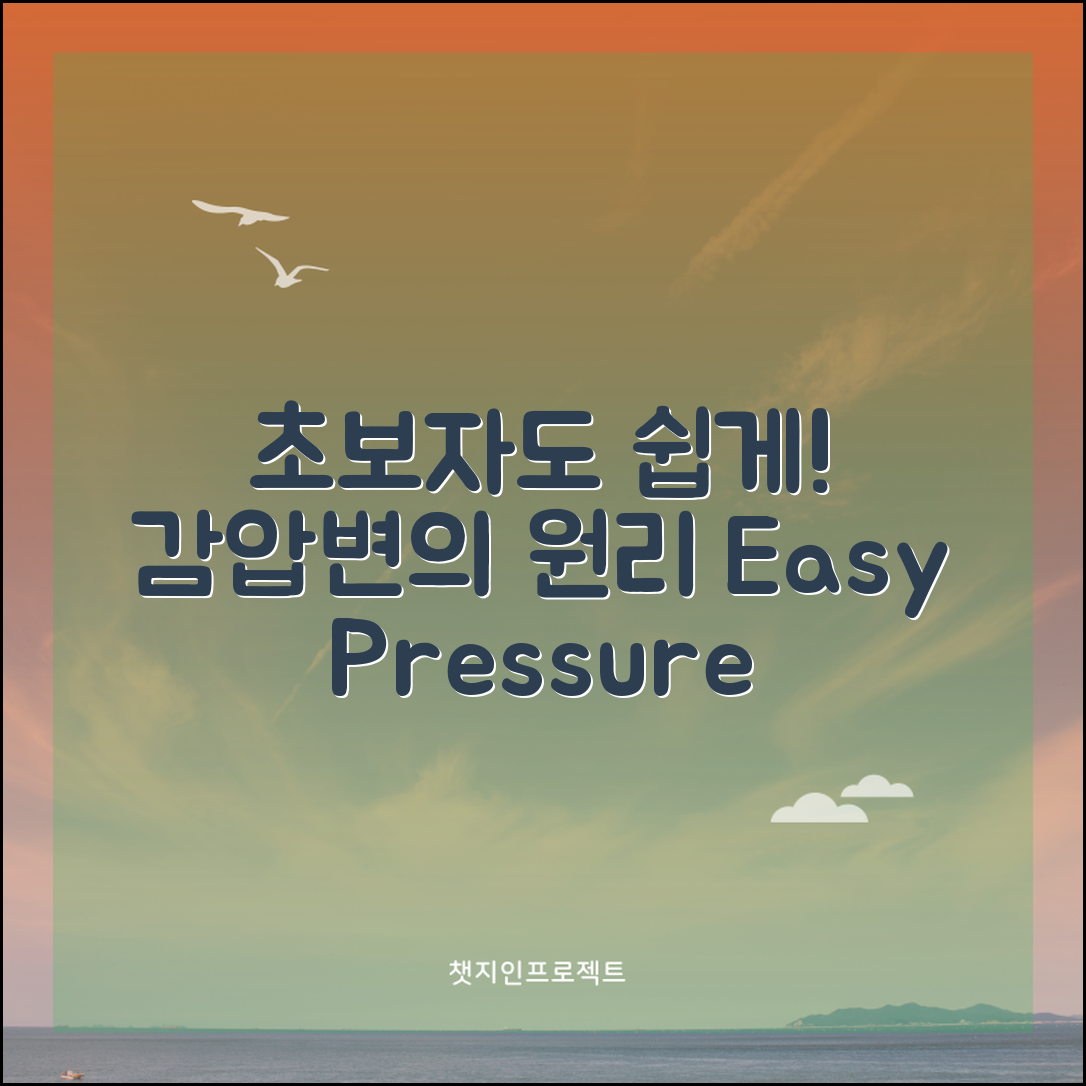 초보자도 쉽게 이해하는 감압변의 원리