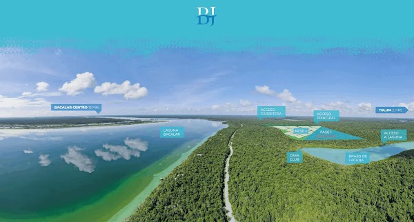 Bacalar Jungle