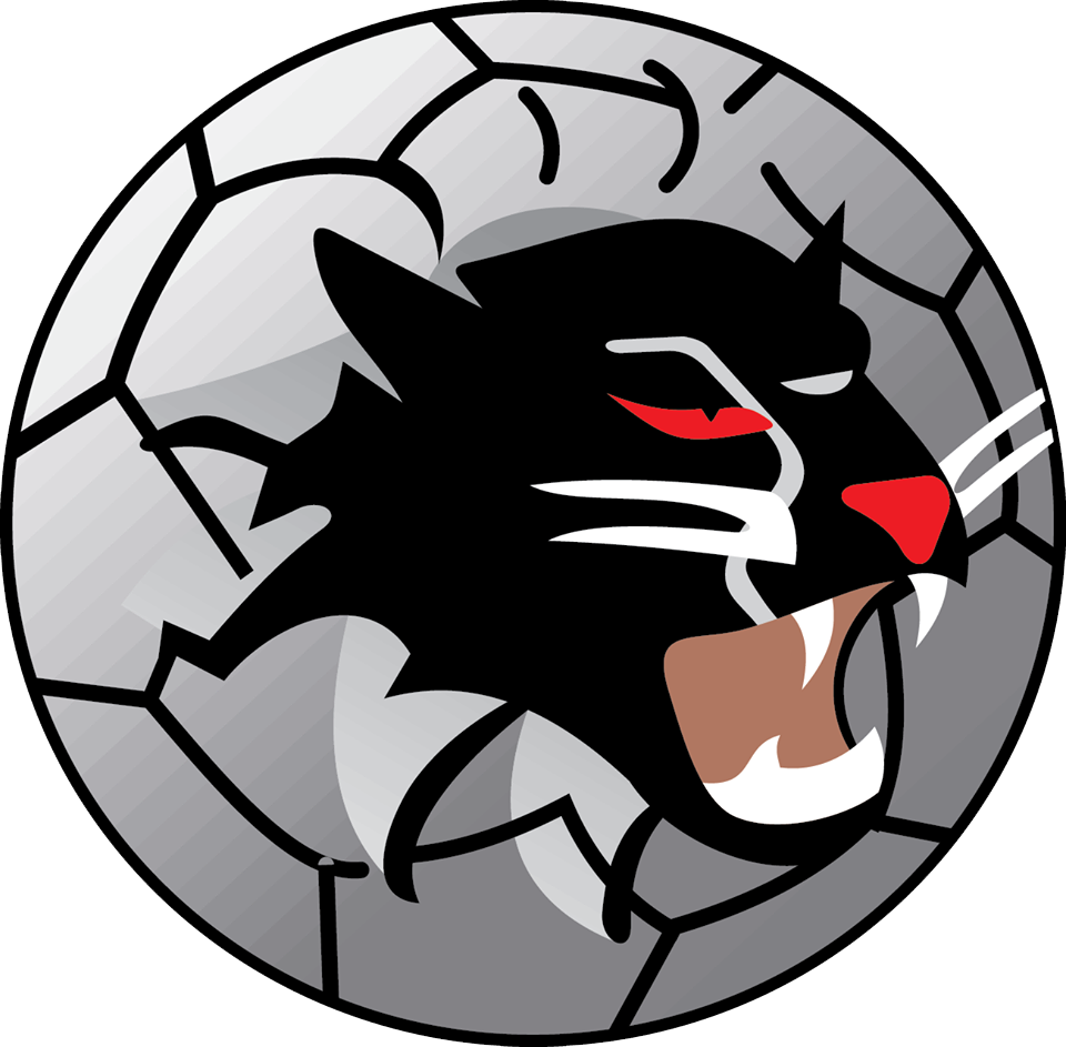 Woongarrah Wildcats logo