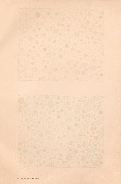 Stillings pseudo isochromatic plates for testing color perception Pl26 1929