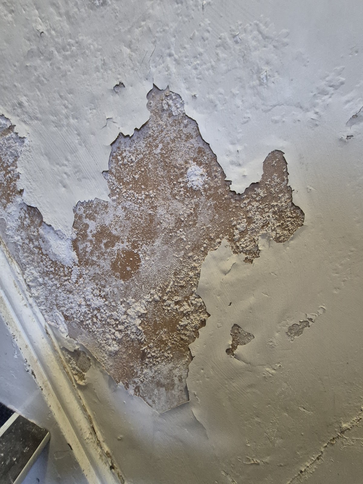 Bathroom mould treatment during end of tenancy clean — tiles and grout cleaned