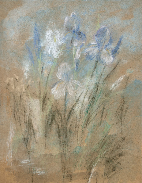 Irises circa 1890s