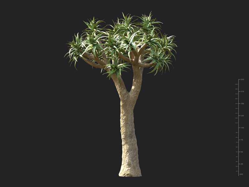 Maxtree - Plant Models Vol.130