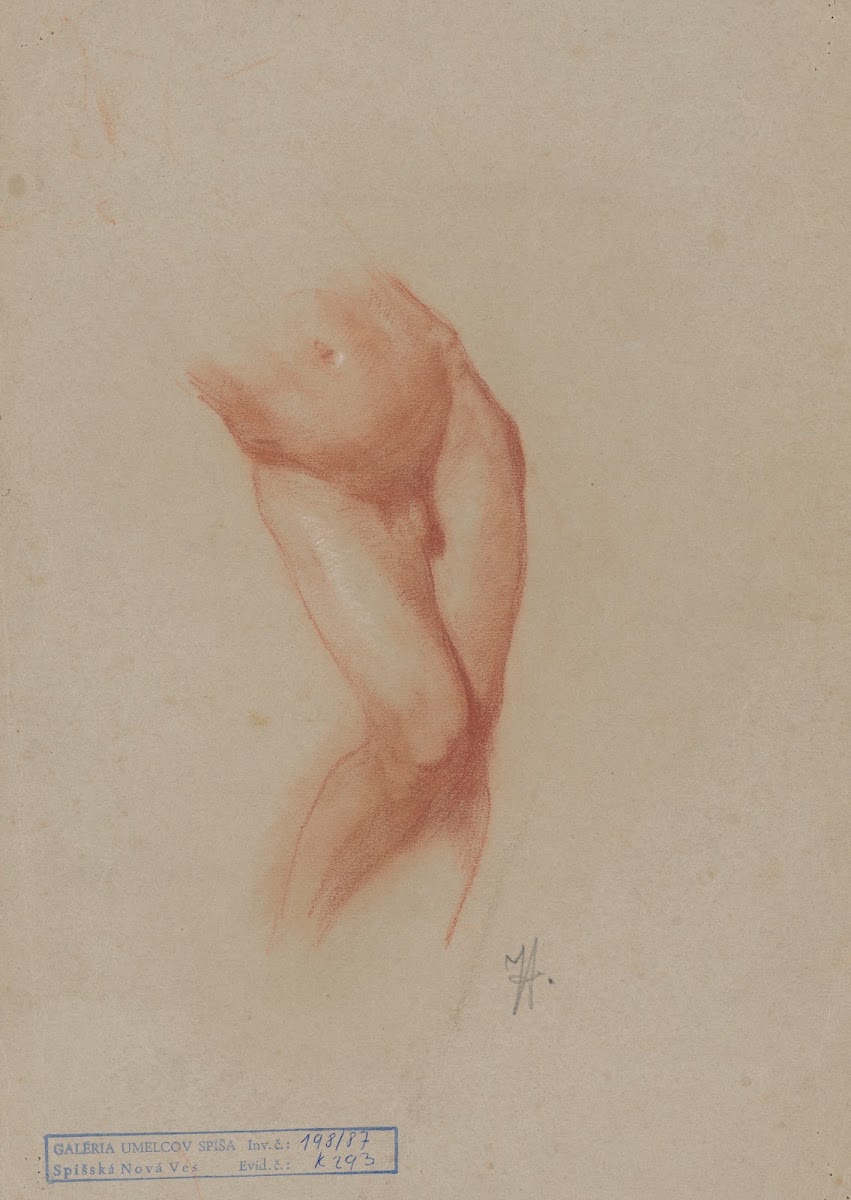 Torso of a male nude