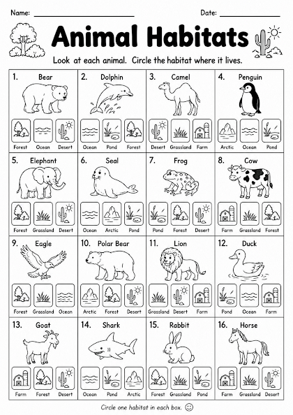 Animal Habitats Practice 1