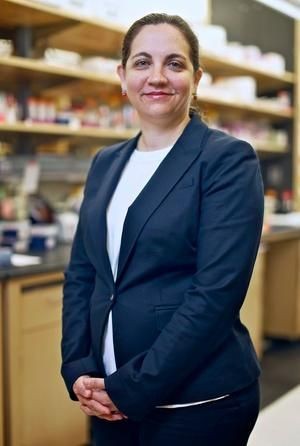 Look who is weaving the neural web? Control of synaptic connectivity by astrocytes