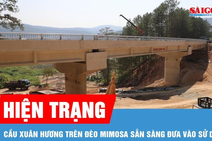 Cận cảnh cầu Xuân Hương trên đèo Mimosa trước khi đưa vào sử dụng - Báo Sài Gòn Giải Phóng