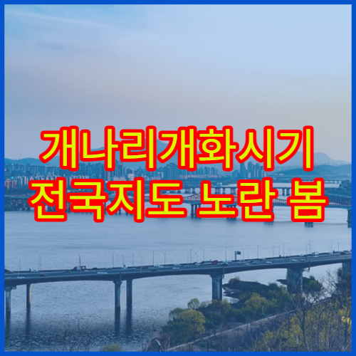 개나리개화시기 전국지도 노란 봄 첫 신호 확인 가이드