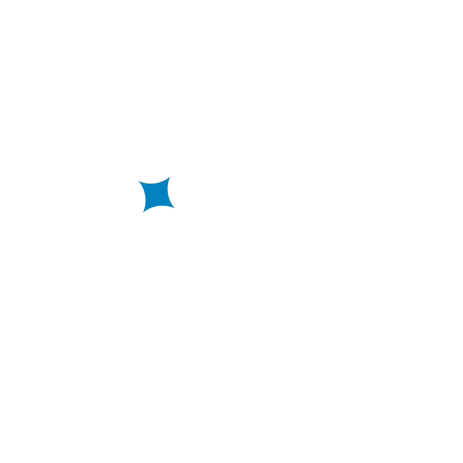 Shiny Edition Logo