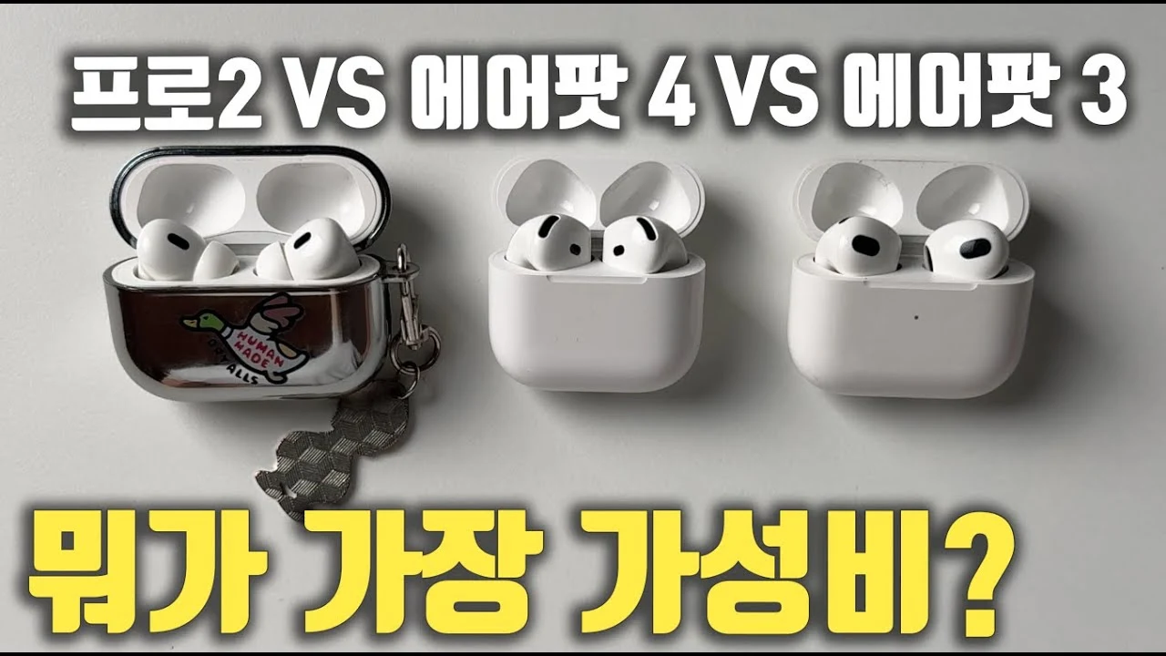 섹션 8 이미지