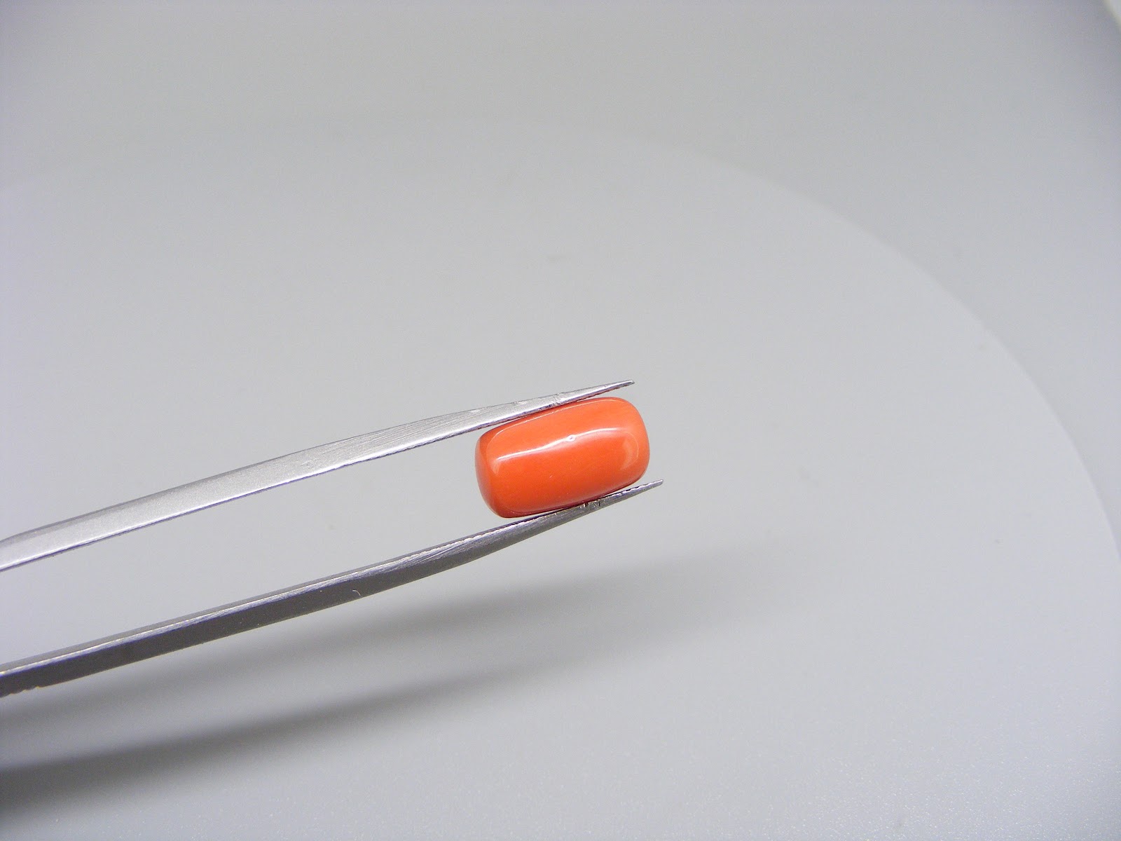 Natural Capsule Red Coral
