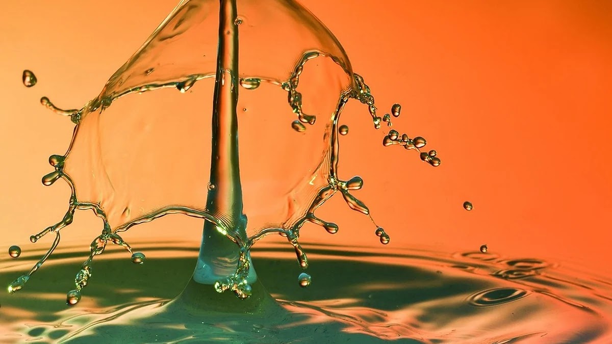 AI툴 구독 서비스별 기능별 비용 효율성 비교 및 선택 가이드