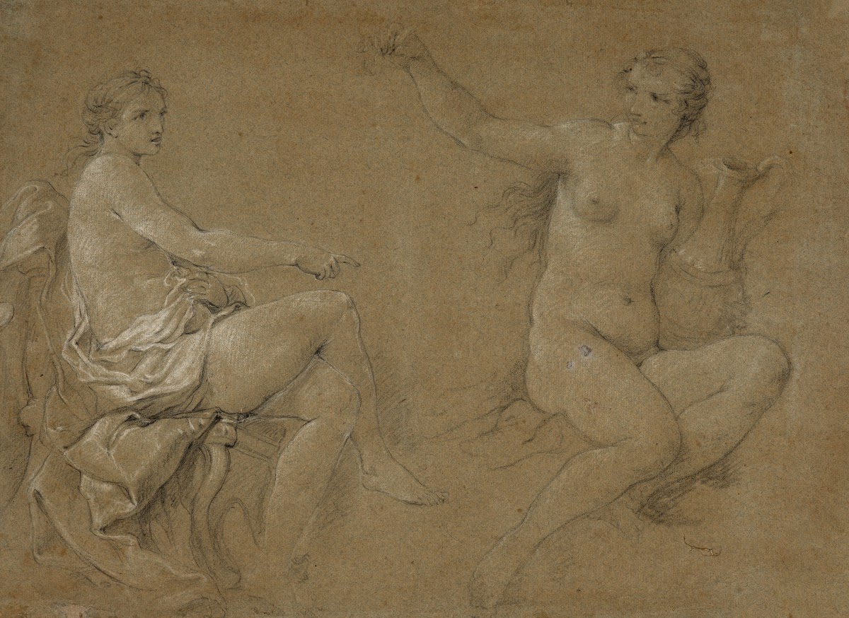Study of the nymphs