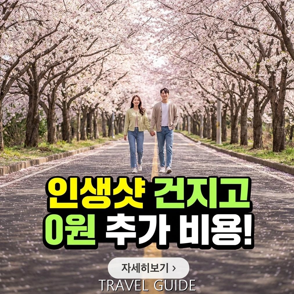 2026 제주 전농로 벚꽃: 개화부터 알뜰 인생샷