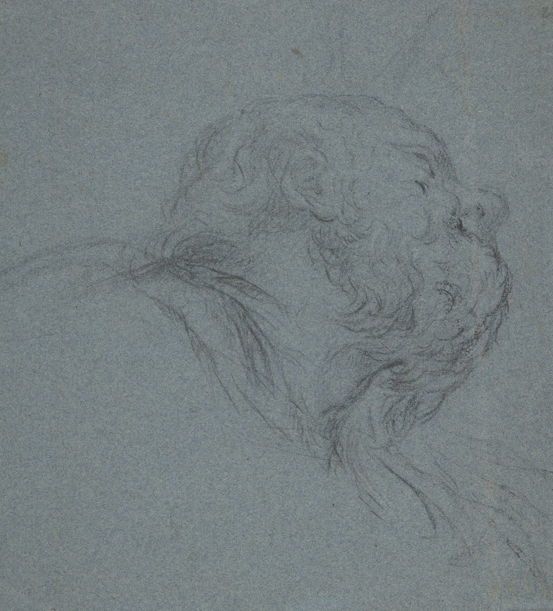 Head of a Bearded Man Looking to Upper Right 163489