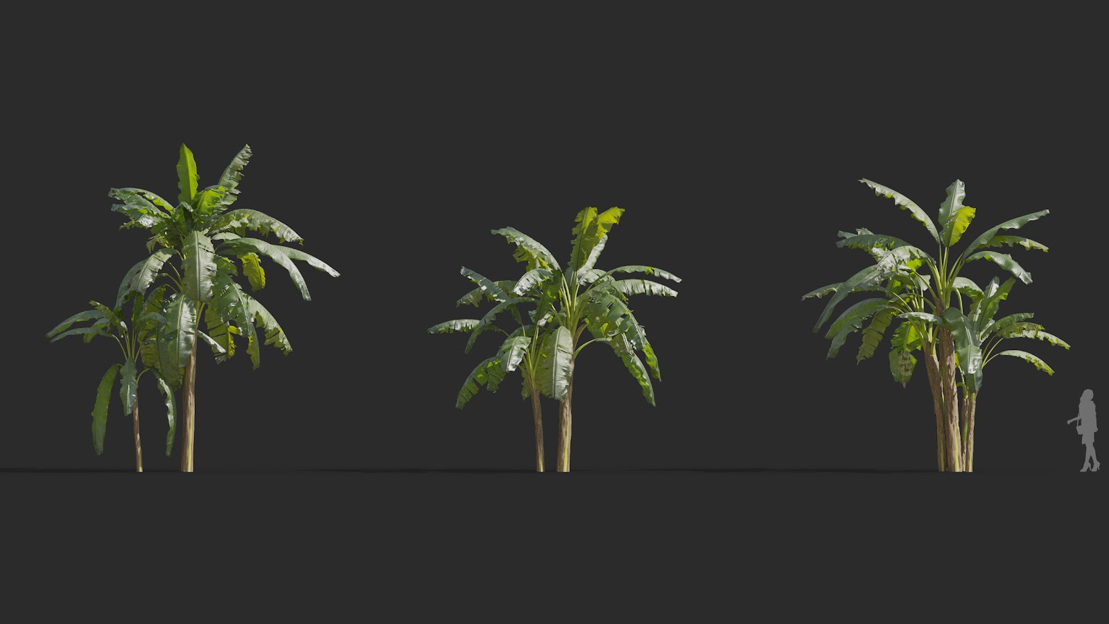 Maxtree - Plant Models Vol.72