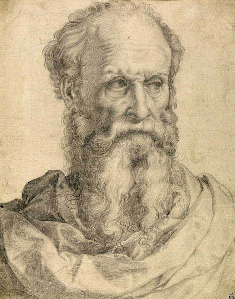 Head and Shoulders of a Bearded Man 1540 1549