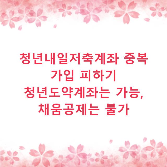 청년내일저축계좌 중복 가입 피하기 청년도약계좌는 가능, 채움공제는 불가