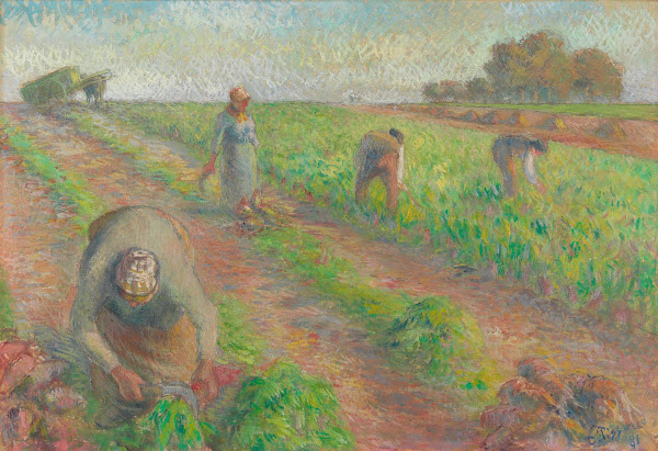 The Beet Harvest 1881