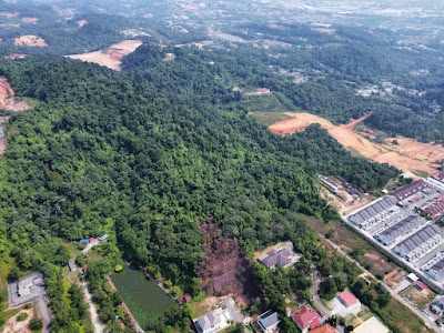 Hilltop Agricultural Land Kg Sungai Merab Hulu Zoning Residential — foto 6/10