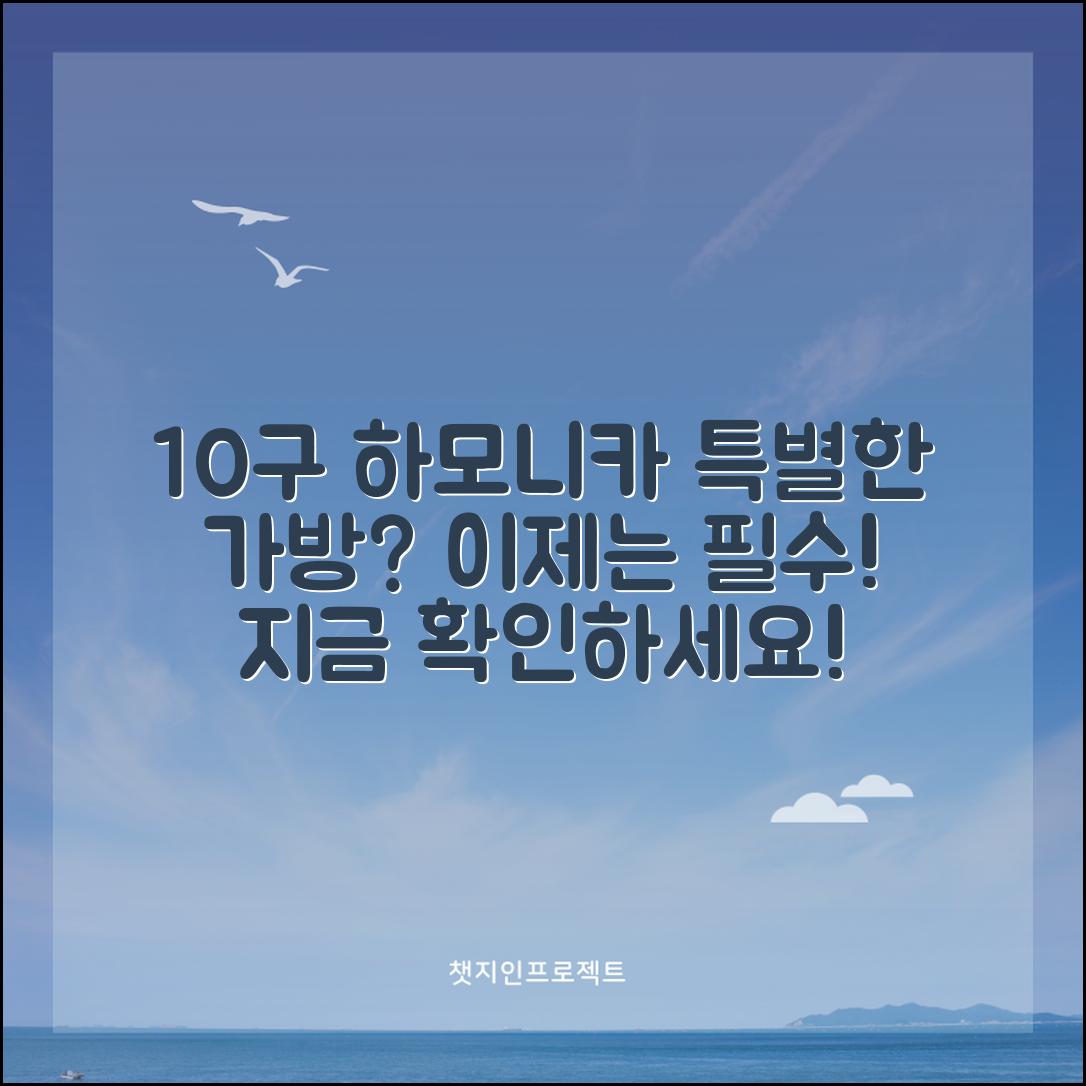 10구하모니카가방, 뭐가 특별할까요?