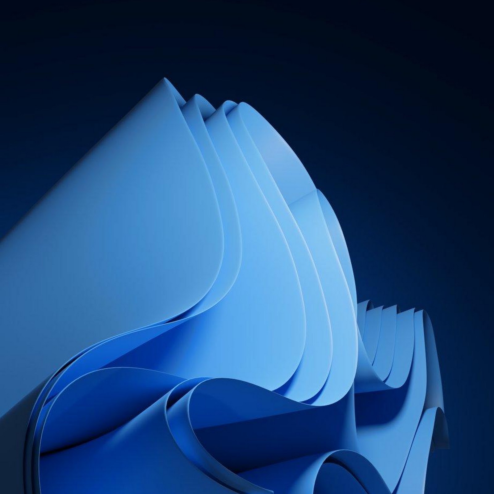 Download Windows 11 Bloom Wallpaper iPhone