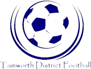 NNSW - Tamworth 3rd Division logo