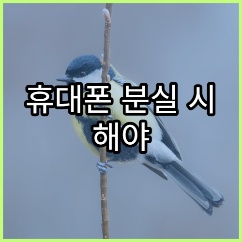 휴대폰 분실 시 해야 할 필수 조치와 데이터 보호법