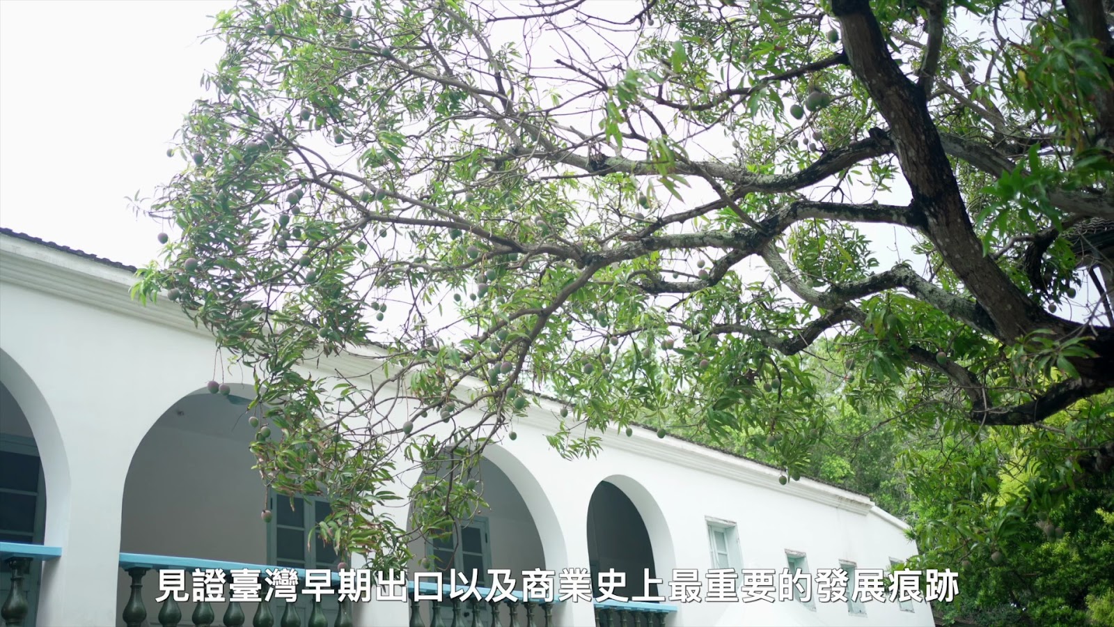 米可白台南老樹一日遊 screenshot 9