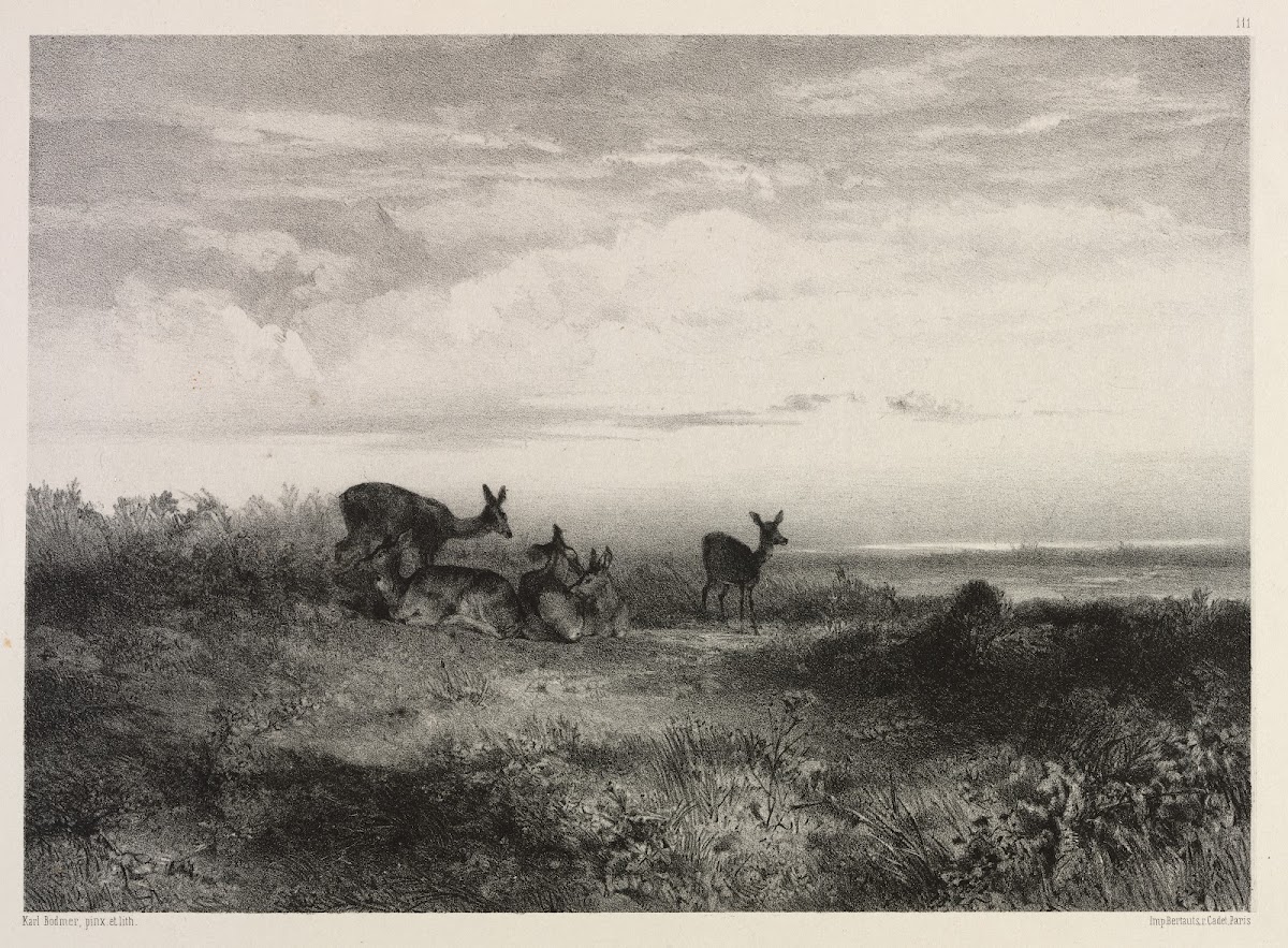 Landscape with Deer c 1840