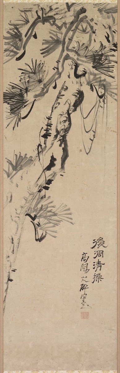 Aged Pine 1717 1780