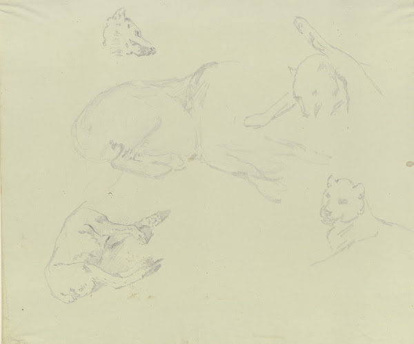 Lions and wolves ca 1831  1840
