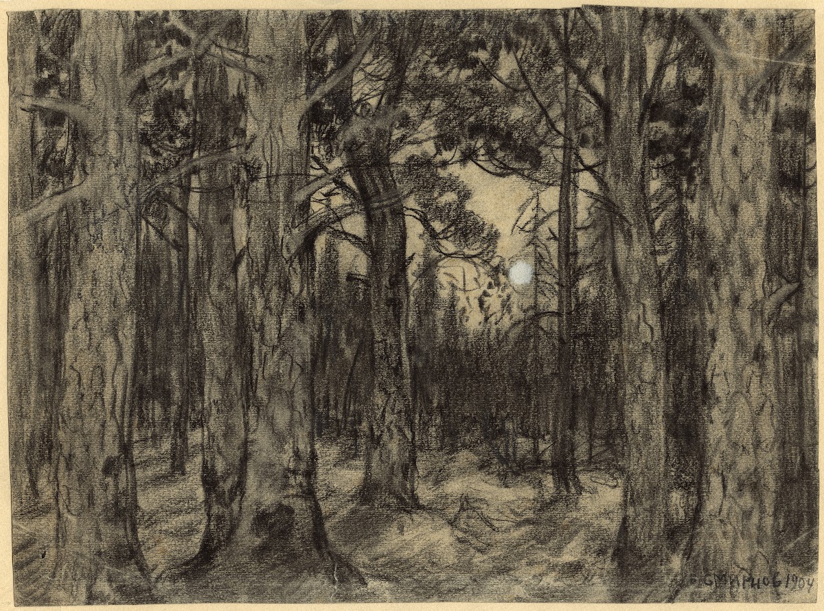 Deep in the Woods of the Krasnoyarsk Taiga 1904