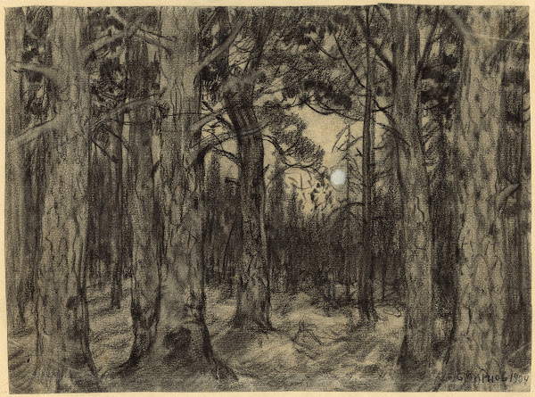 Deep in the Woods of the Krasnoyarsk Taiga 1904