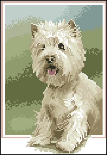 CMP JSWS417 Westie