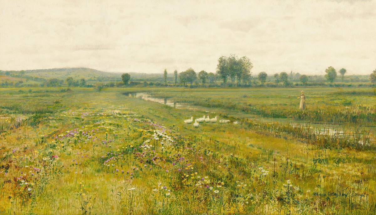 An extensive meadow landscape with geese by a stream 1892