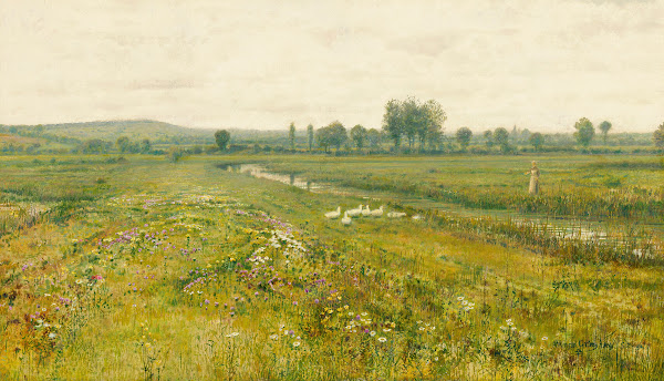 An extensive meadow landscape with geese by a stream 1892
