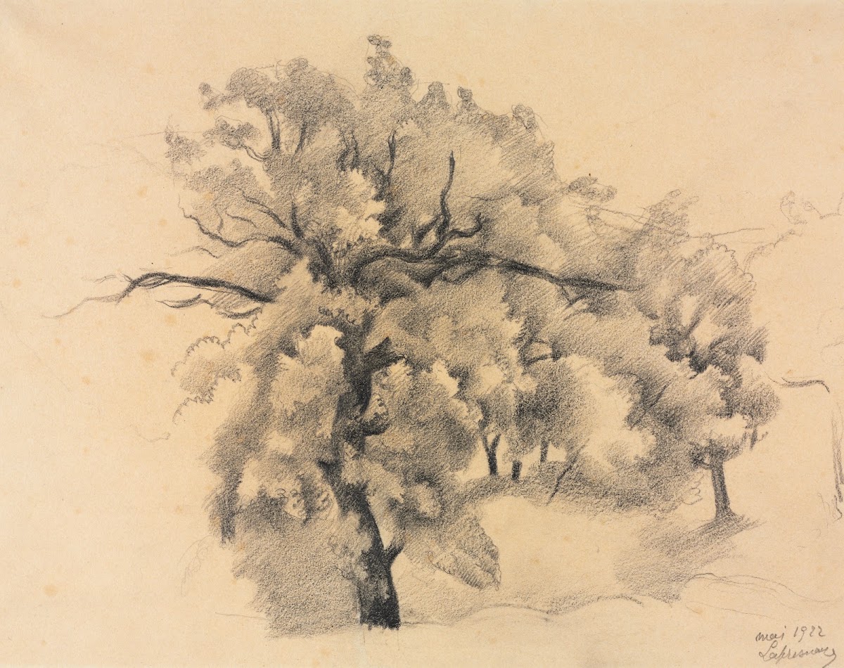 Study of Trees 1922