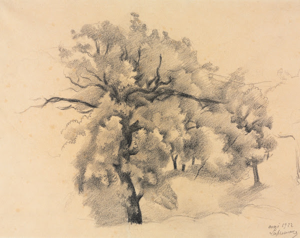 Study of Trees 1922