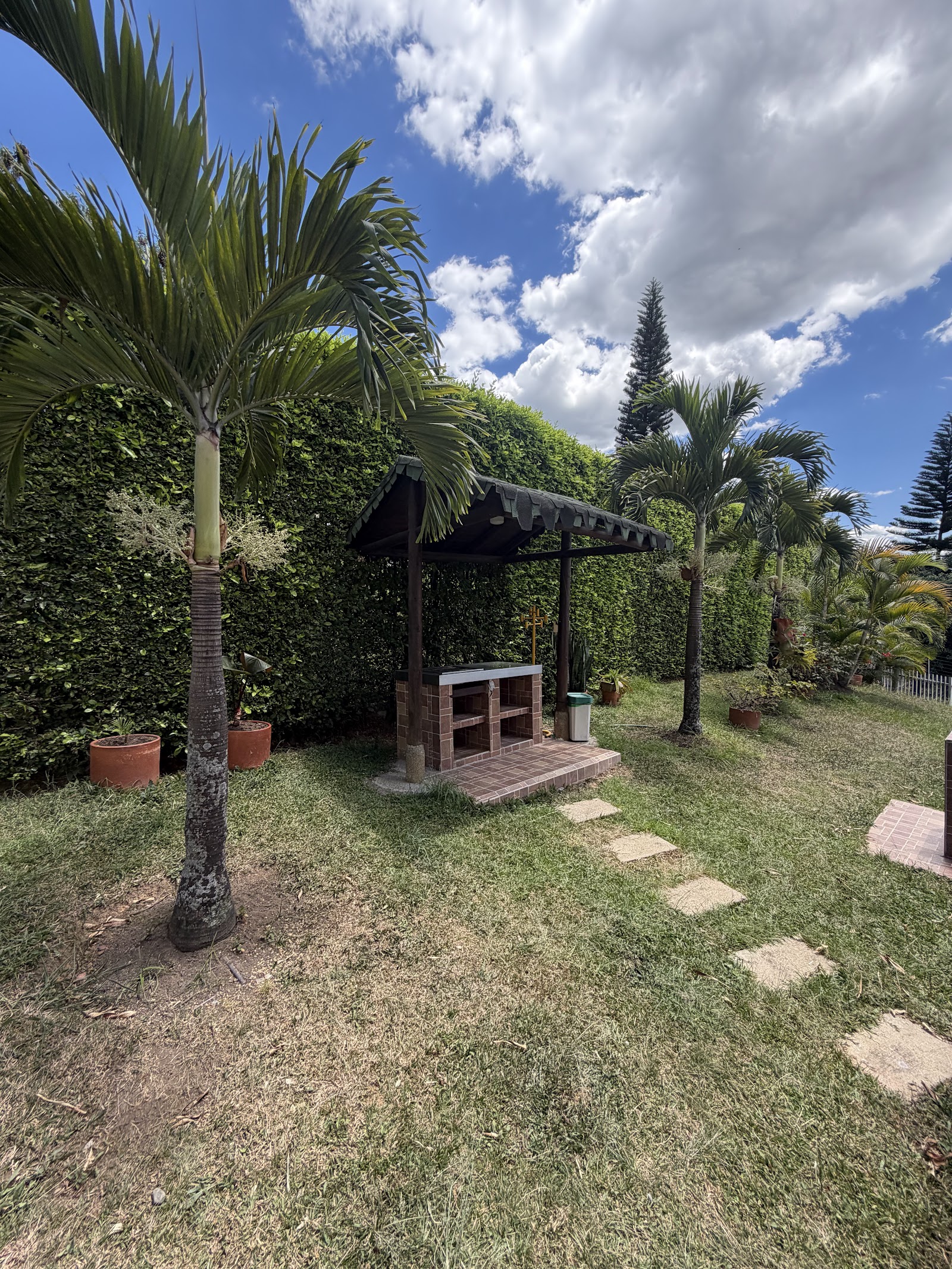 Zona BBQ y jardín