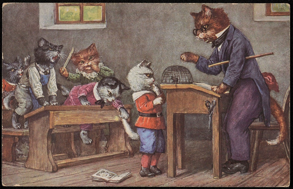 Cats in the schoolroom 20th century