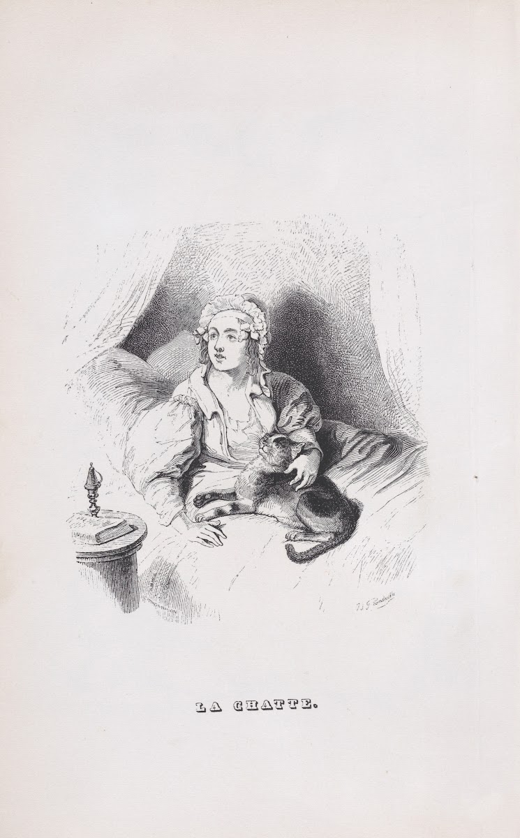 The Female Cat 1836
