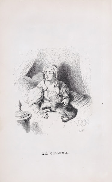 The Female Cat 1836