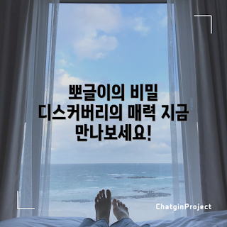 디스커버리뽀글이, 디스커버리뽀글이 특징, 왜 디스커버리뽀글이가 인기일까, 디스커버리뽀글이 구매 방법, 무엇이 디스커버리뽀글이냐